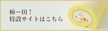 岐阜県本巣市のケーキ屋 カフェなら さんらいず 通販もあります